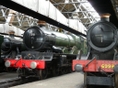 Locomotives in GWR Engine Shed
