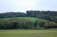 The Chilterns AONB 