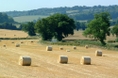 The Chilterns in South Oxfordshire