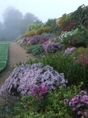 Waterperry Gardens autumn border