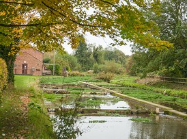 Ewelme Watercres Beds