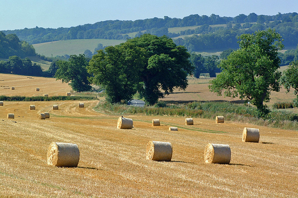 The rolling hills of South Oxfordshire
